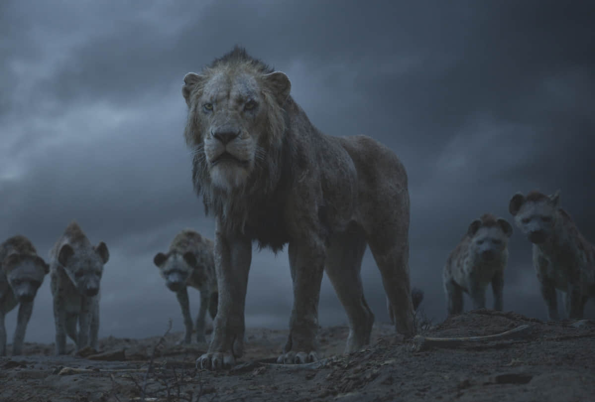 film Review The Lion King starrer by Shah rukh Khan and Aryan Khan