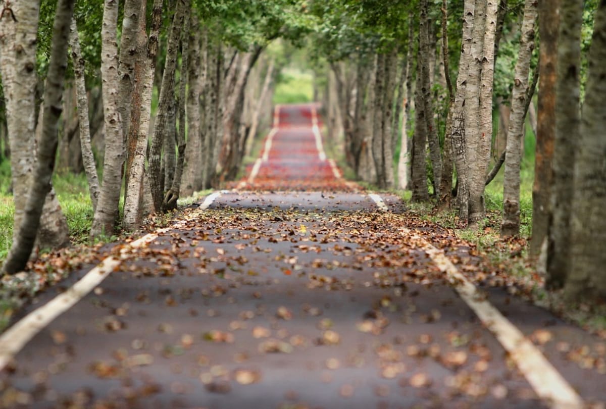 plan a weekend trip in delhi nature places