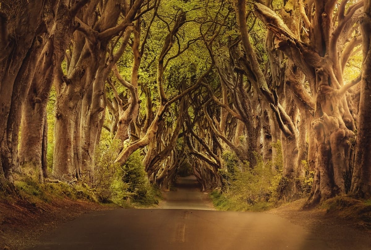 plan a weekend trip in delhi nature places