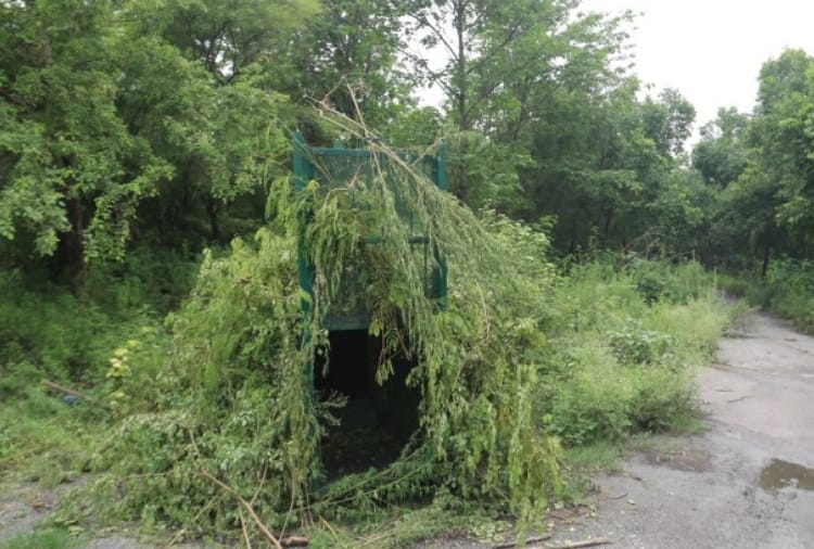 Leopard Panic To Be Searched In Yamuna Nagar