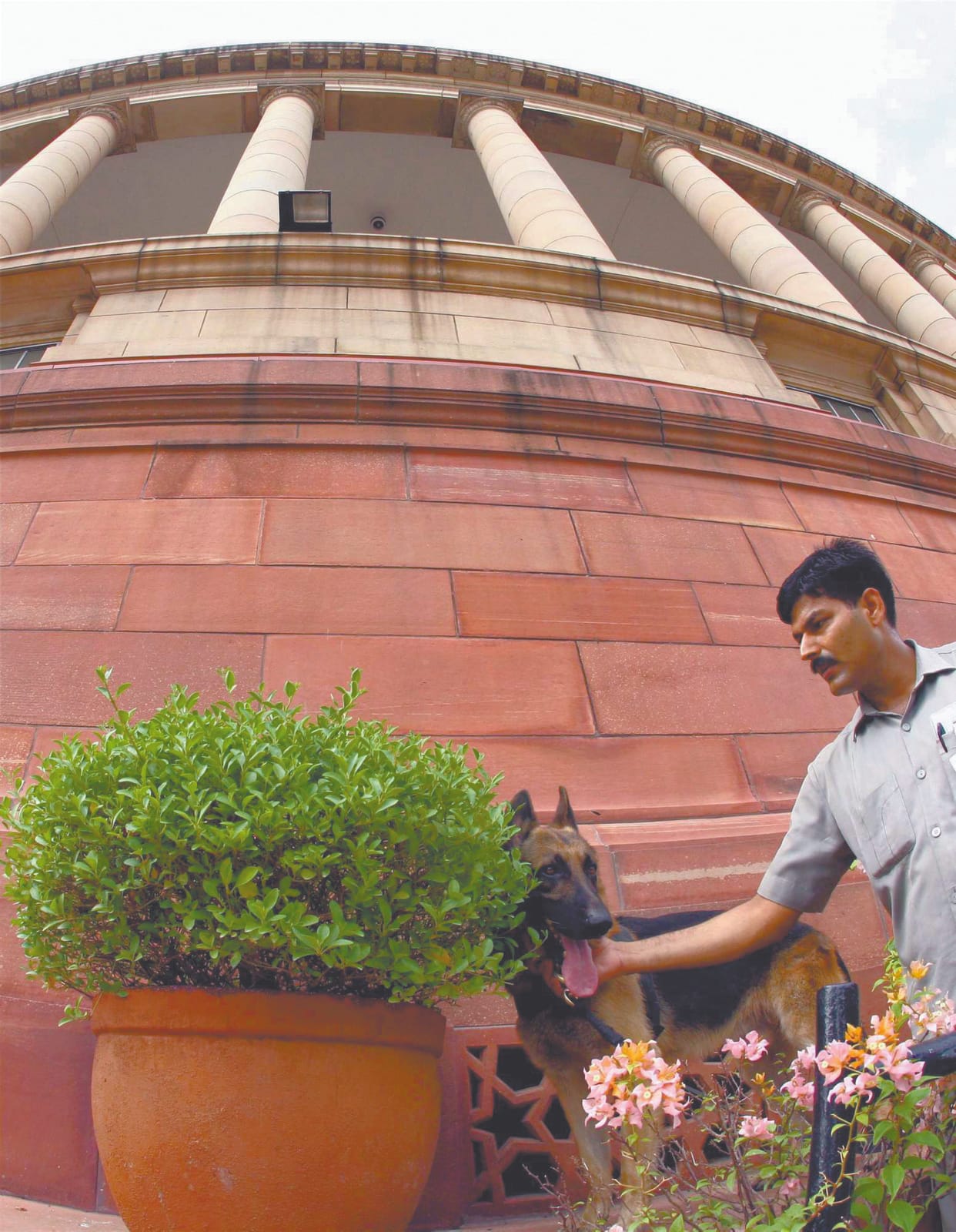 raised the question in parliyament