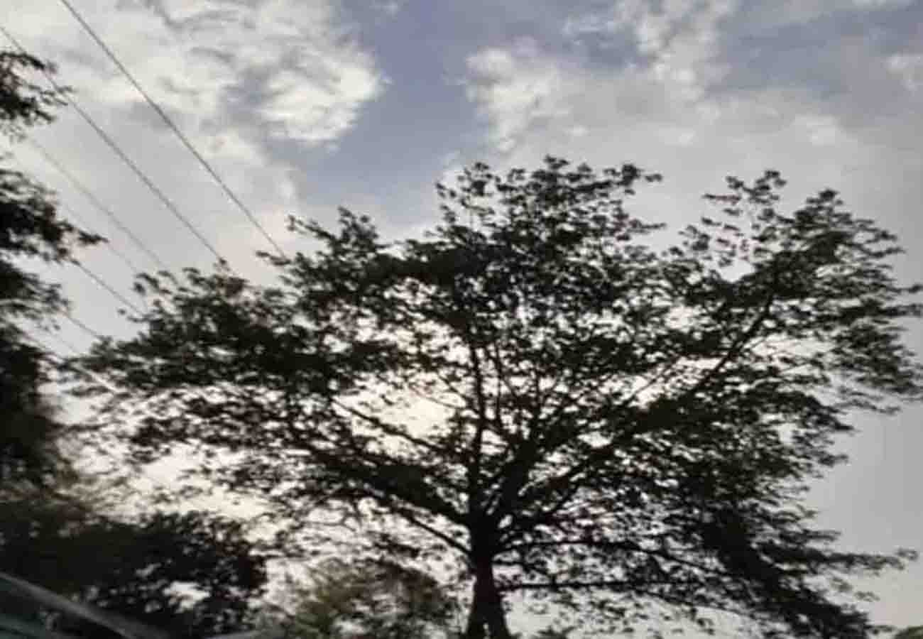 Weather Report Today, Weather department forecast rain in cities of up