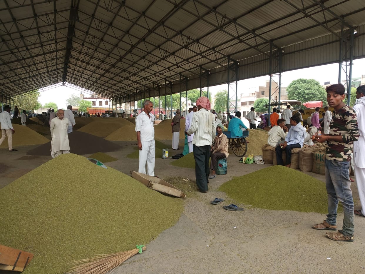 Government procurement of not starting pulses crops