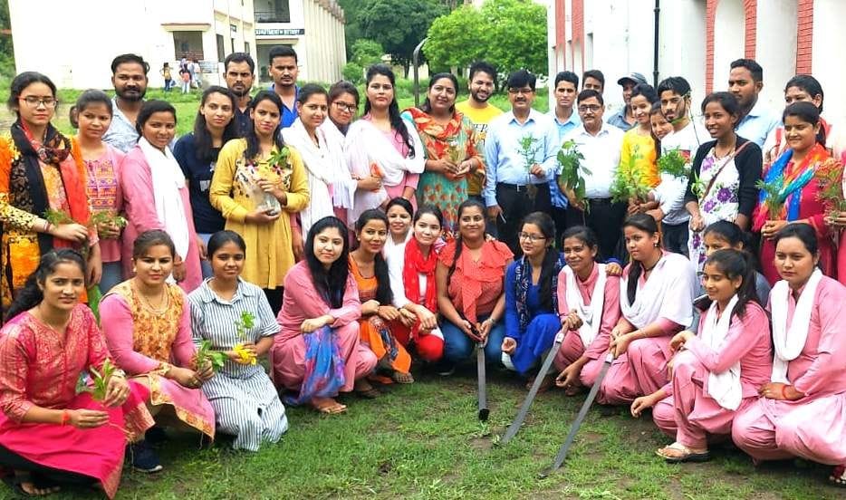 Students plant seedlings in college campus