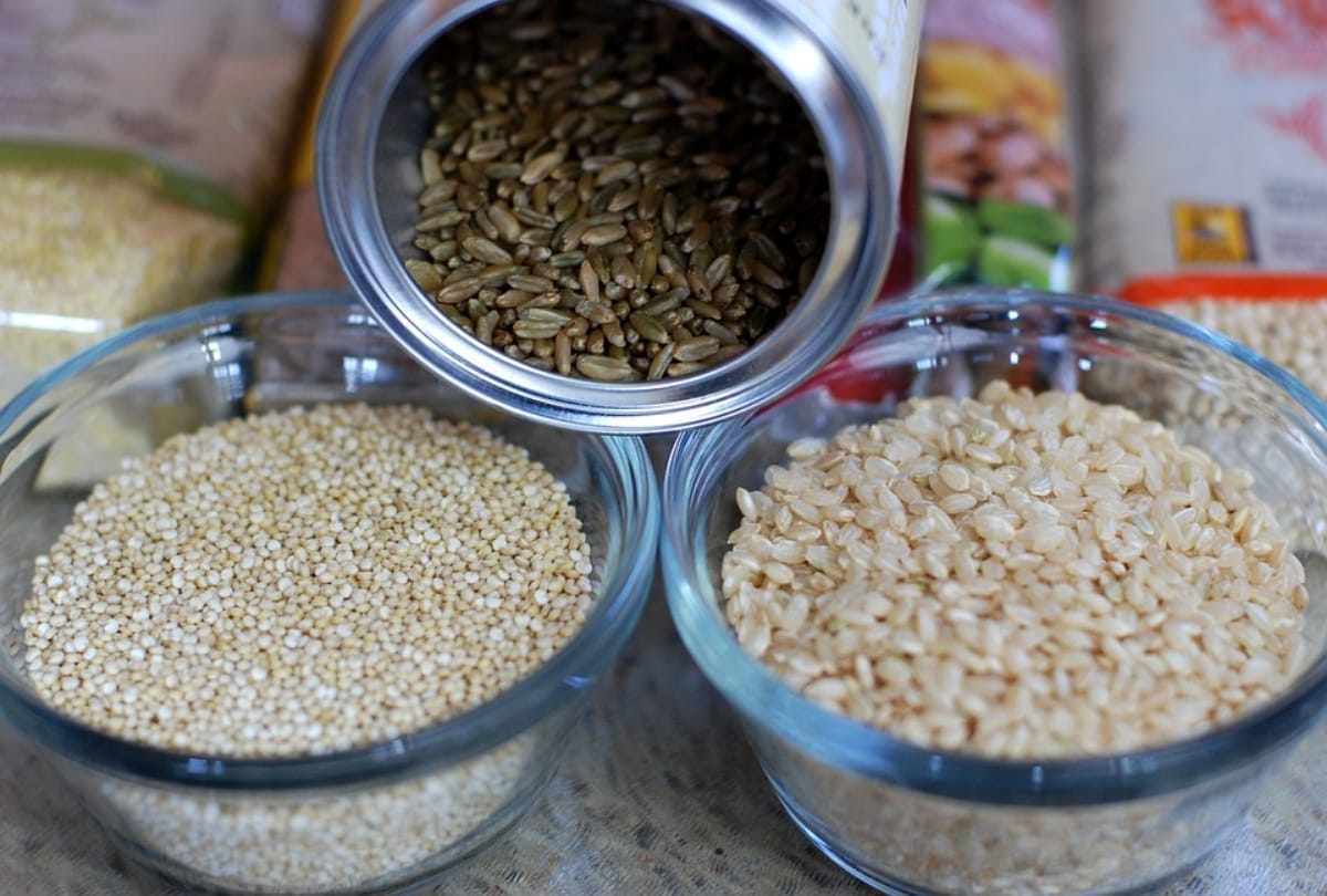 best tips for healthy eating protein rich food in daily diet