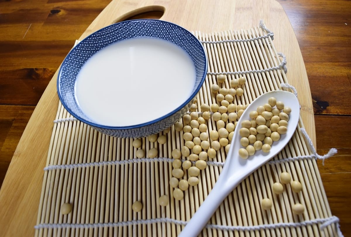 best tips for healthy eating protein rich food in daily diet