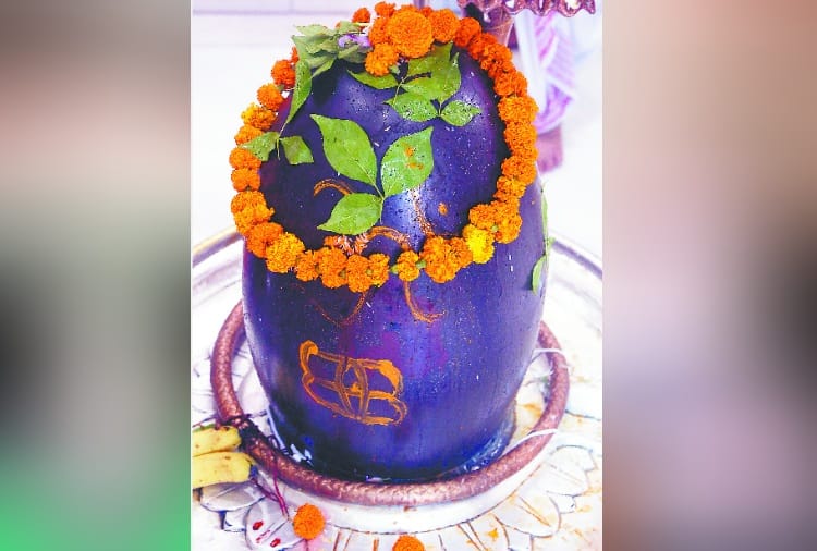 sawan 2019, history of 67 year old shiv temple in sector 8 chandigarh