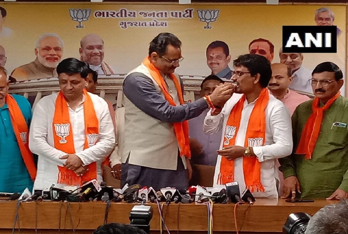Gujarat: Alpesh Thakor and Dhaval Singh Zala join Bharatiya Janata Party
