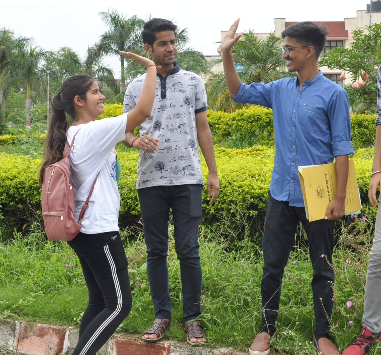 DAV college  Admission in Chinese and Japanese Languages