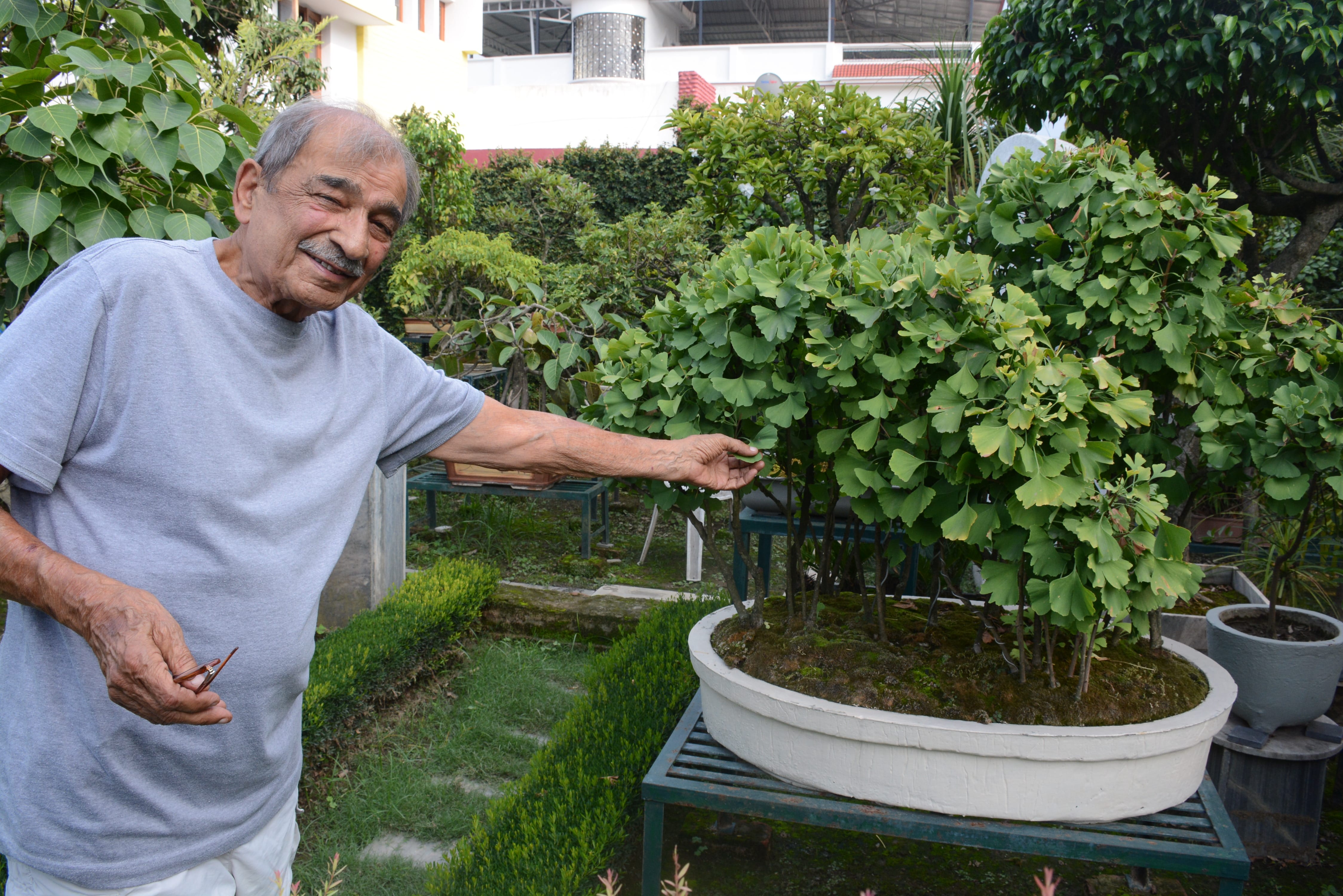 Dwarf Tree Garden in dehradun Exclusive Photos 
