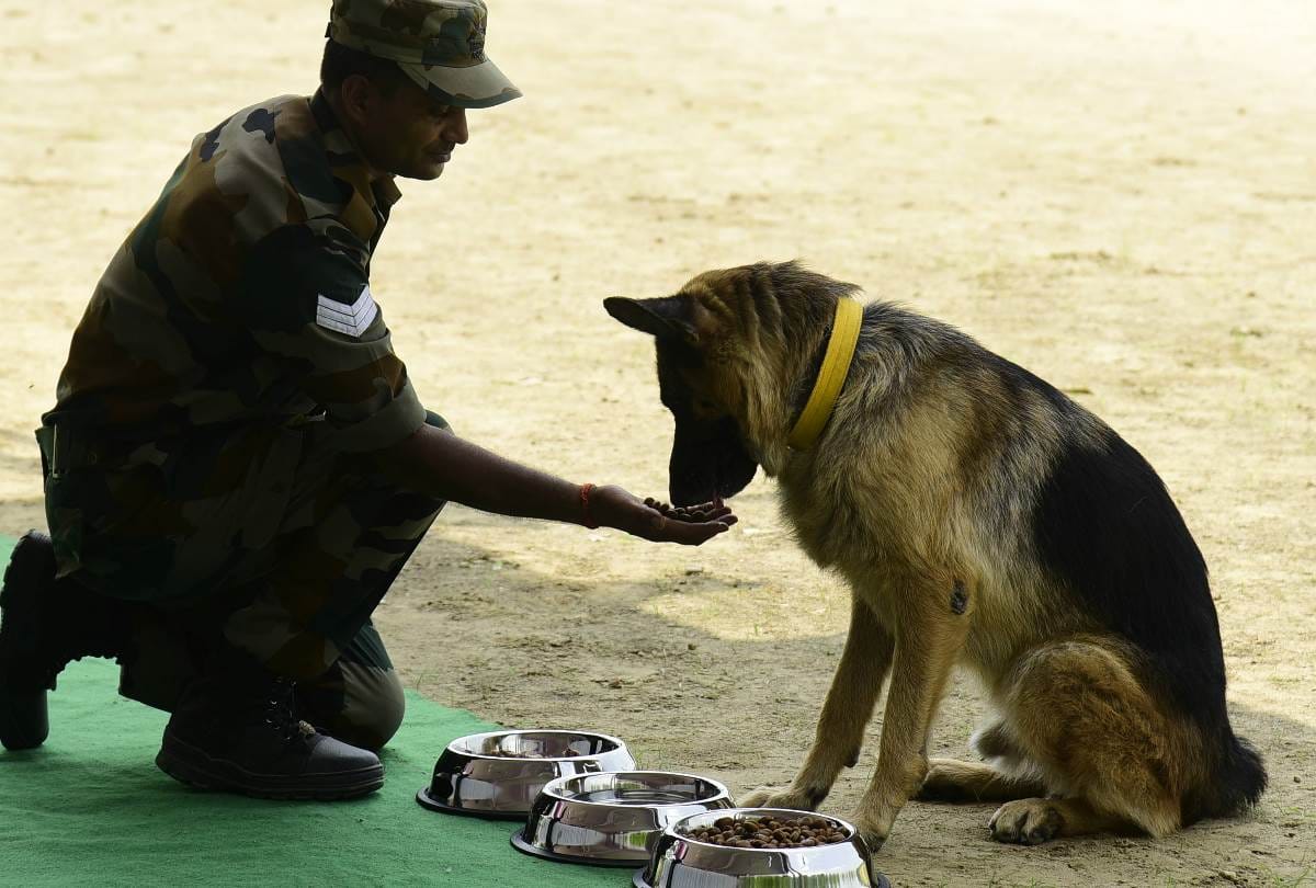 dog squad competition in lucknow