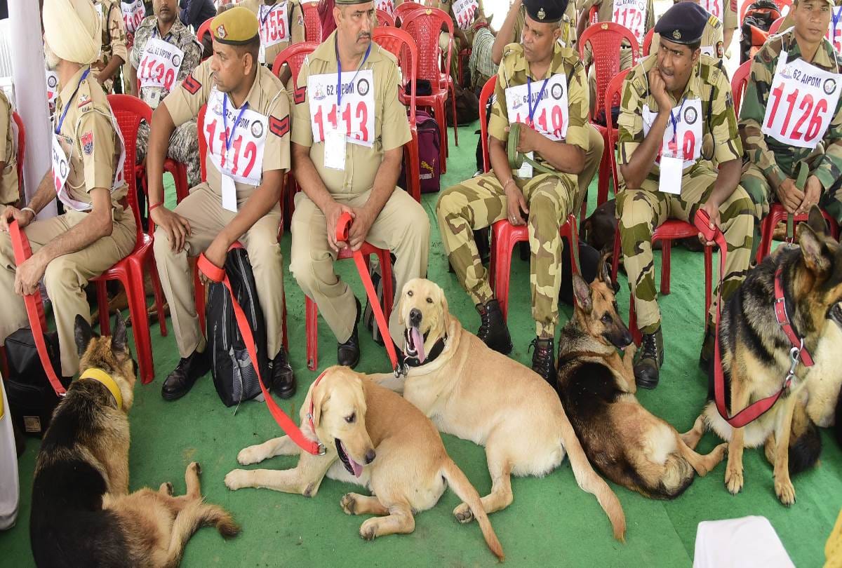 dog squad competition in lucknow