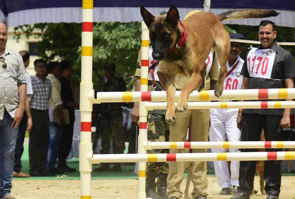 dog squad competition in lucknow