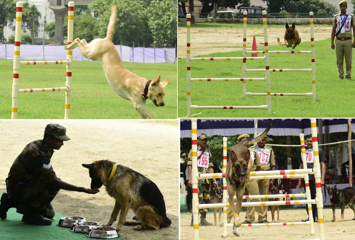 dog squad competition in lucknow