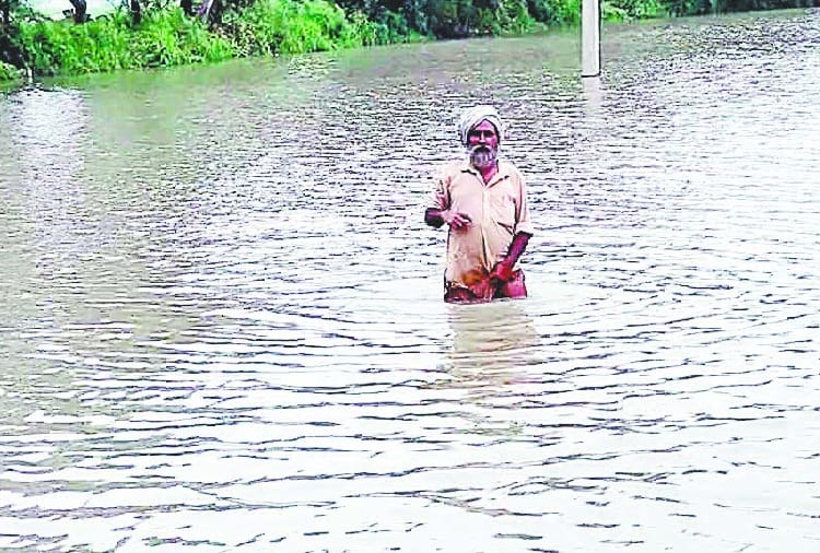 Monsoon, Flood in Punjab after heavy rainfall