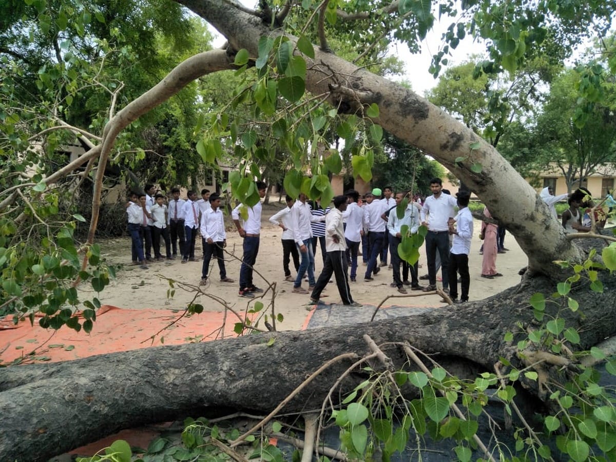 cutting of trees will end everything Supreme Court