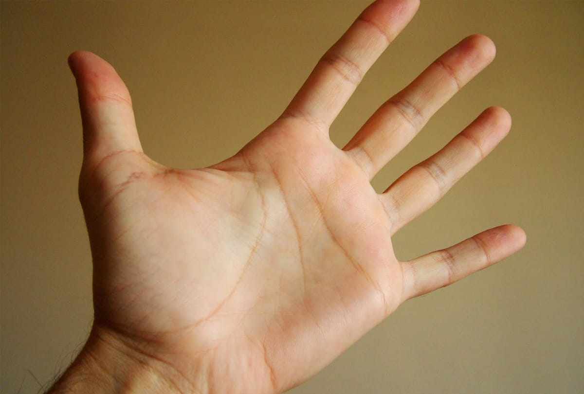 lucky plmistry signs in hand