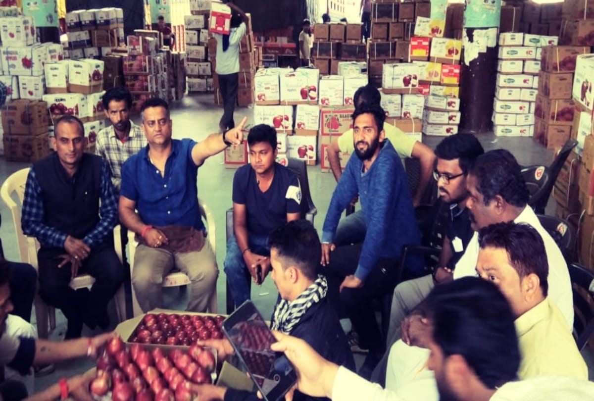 spur varieties of apple sold on record price in theog shimla