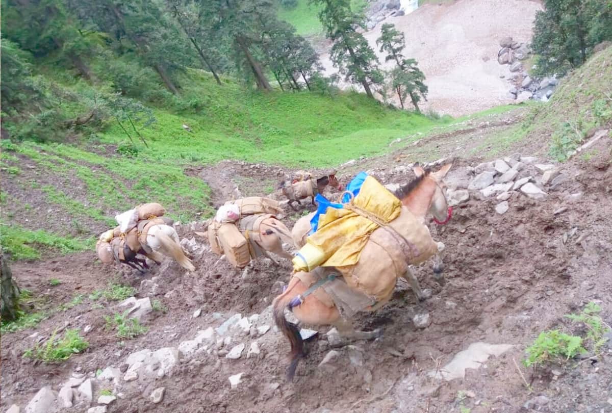 Road to Bara Bhangal restored after one year kangra himachal pradesh