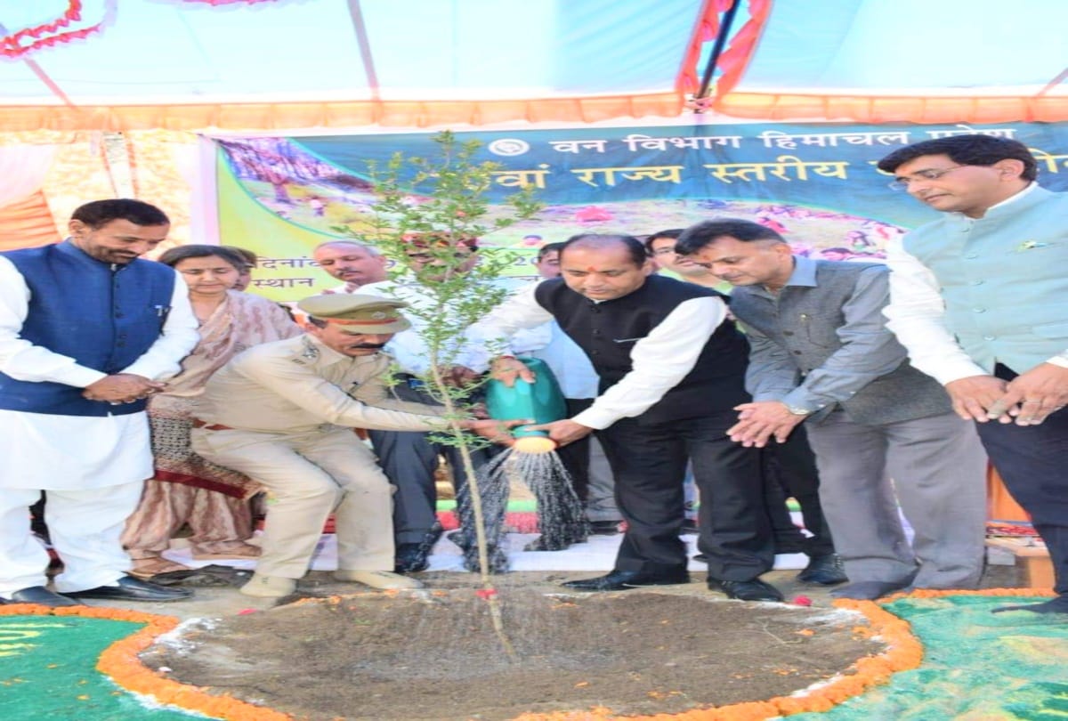 2.5 million saplings will be planted in five days in Himachal