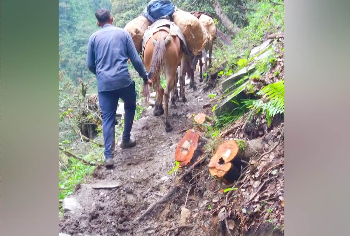 Road to Bara Bhangal restored after one year kangra himachal pradesh