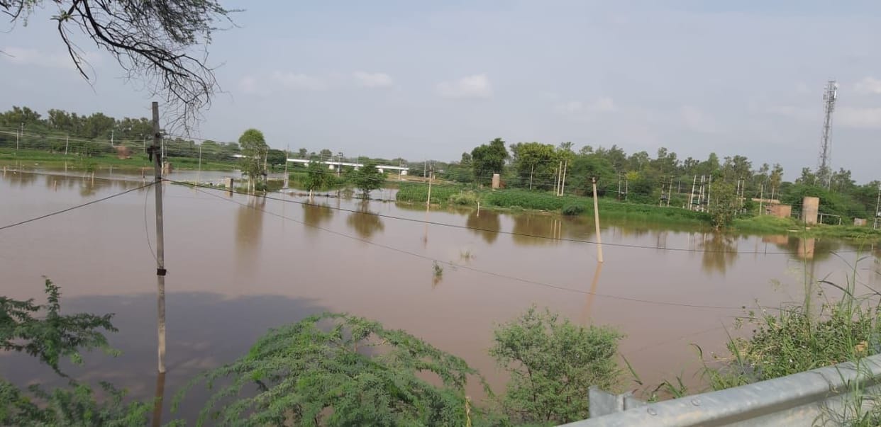 ghaghar river water sirsa