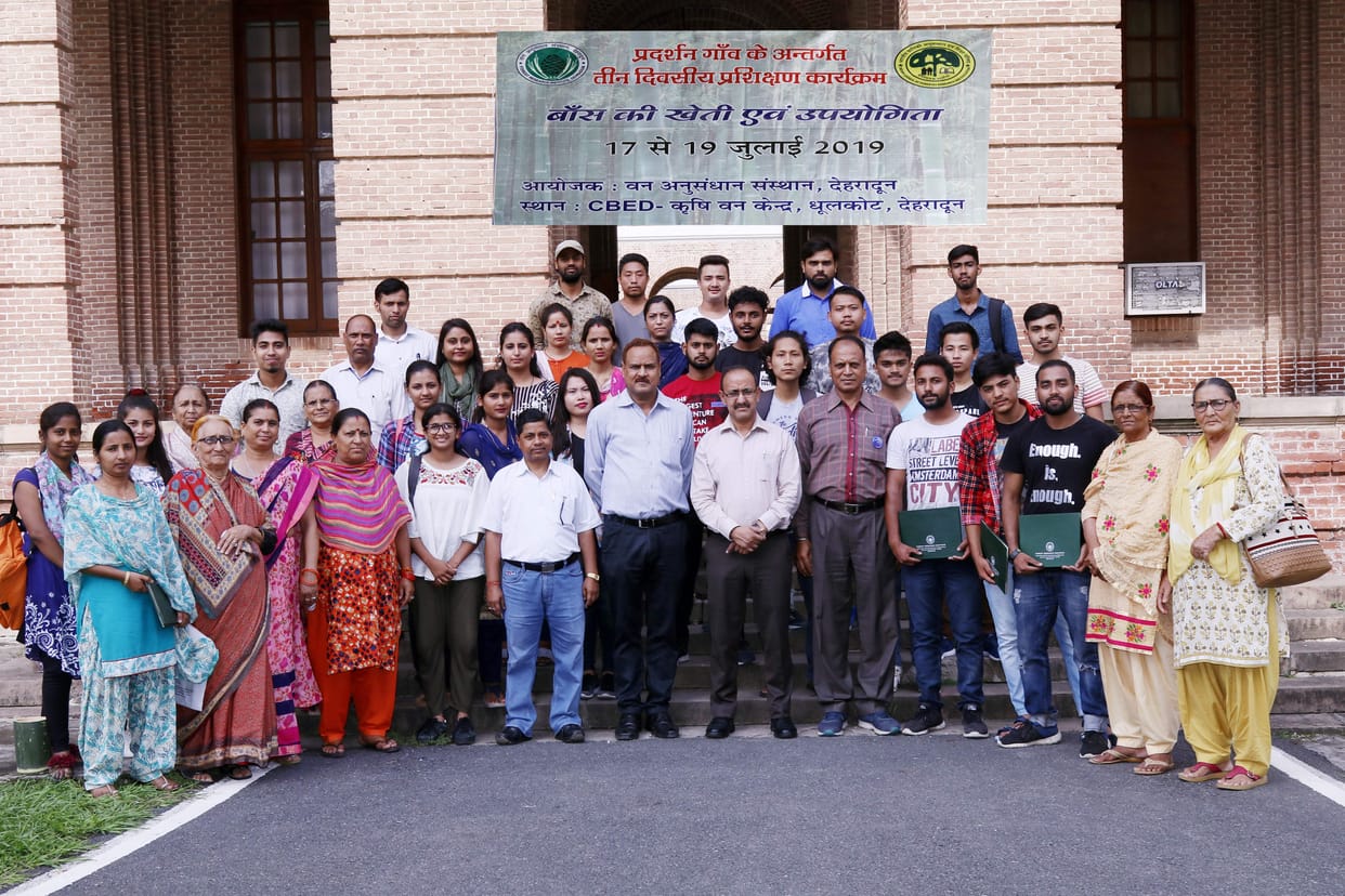 Bamboo's key role in climate change: Rawat