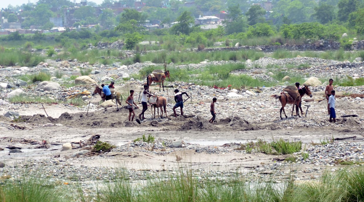 Mafia distinguishes 'security cycles' from mules
