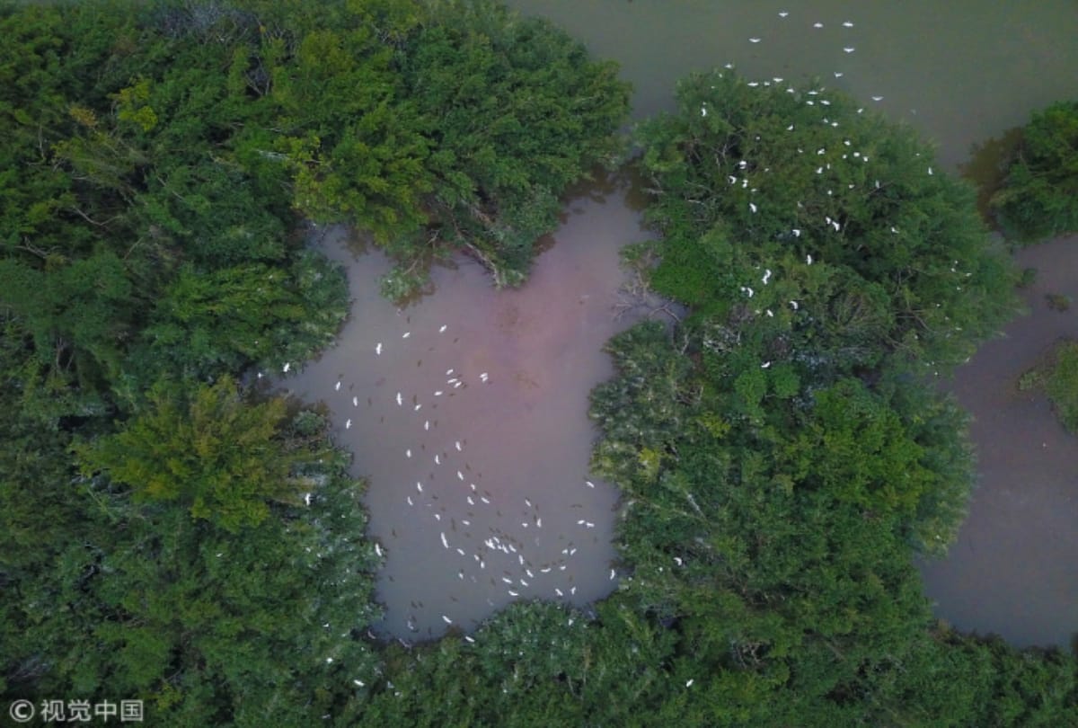 world first noise barrier in china for birds
