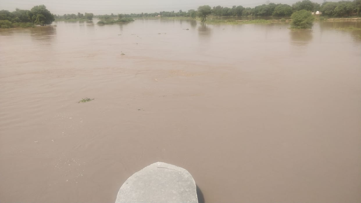 Ghaggar river flood