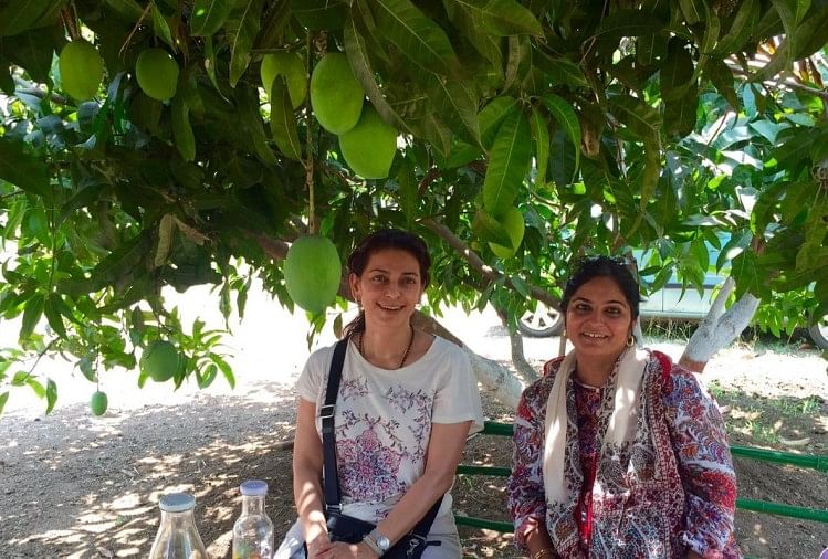 जूही चावला:फिल्मों से दूर खेती कर रही हैं अभिनेत्री, आम के बाग से तस्वीरें हुईं वायरल - Juhi Chawla Latest Pictures From Her Mango Farm Goes Viral On Instagram - Entertainment News: