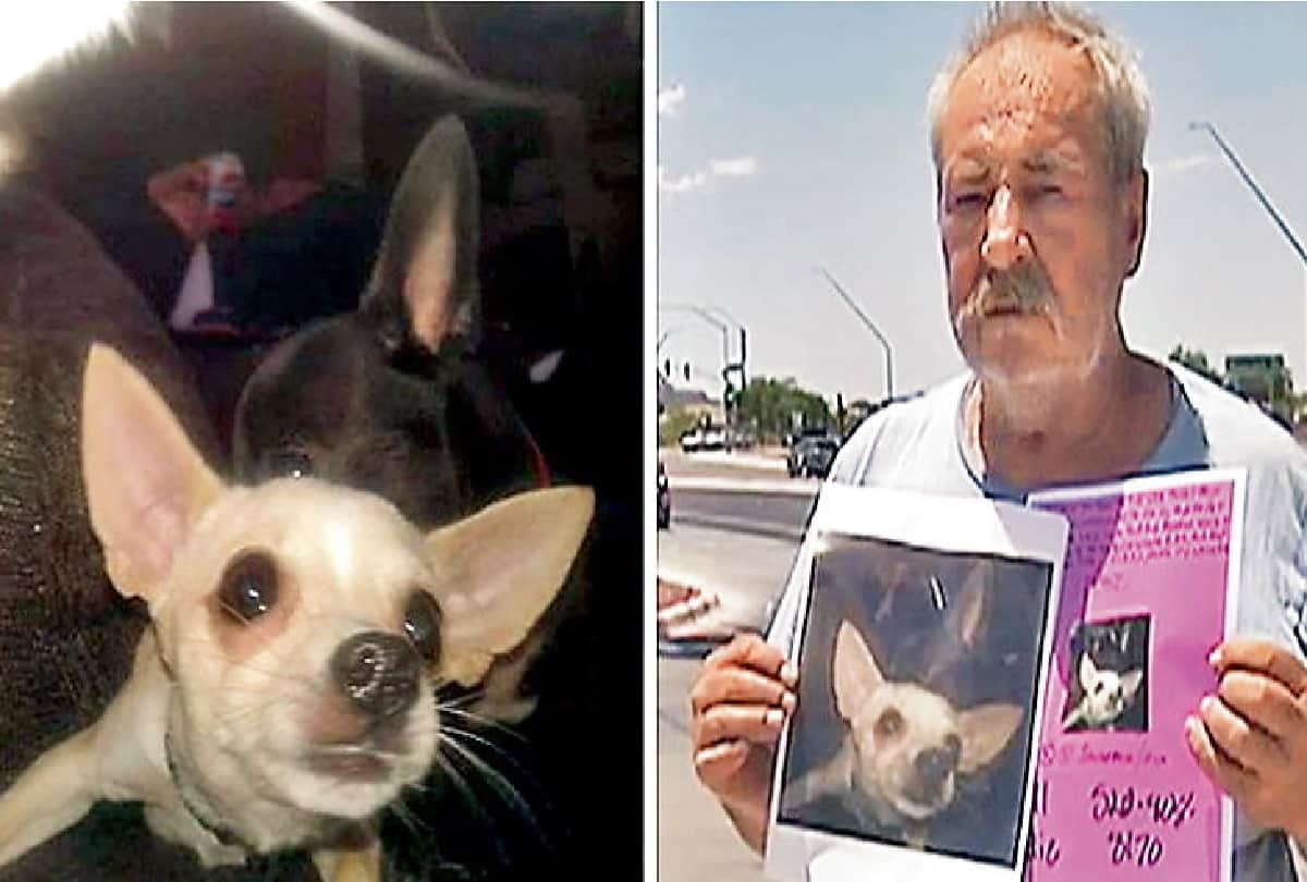 eddie collins give big rewards for his dog