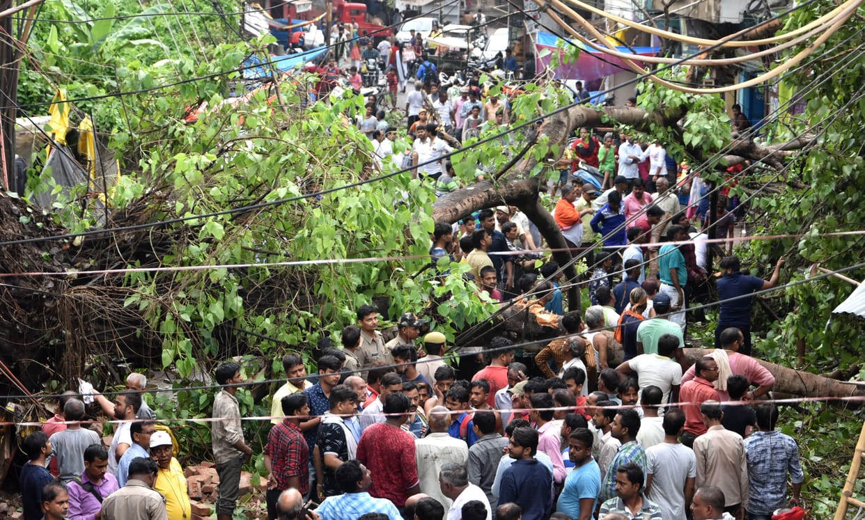 Dropped trees near Bharti Bhawan, three injured in Prayagraj city