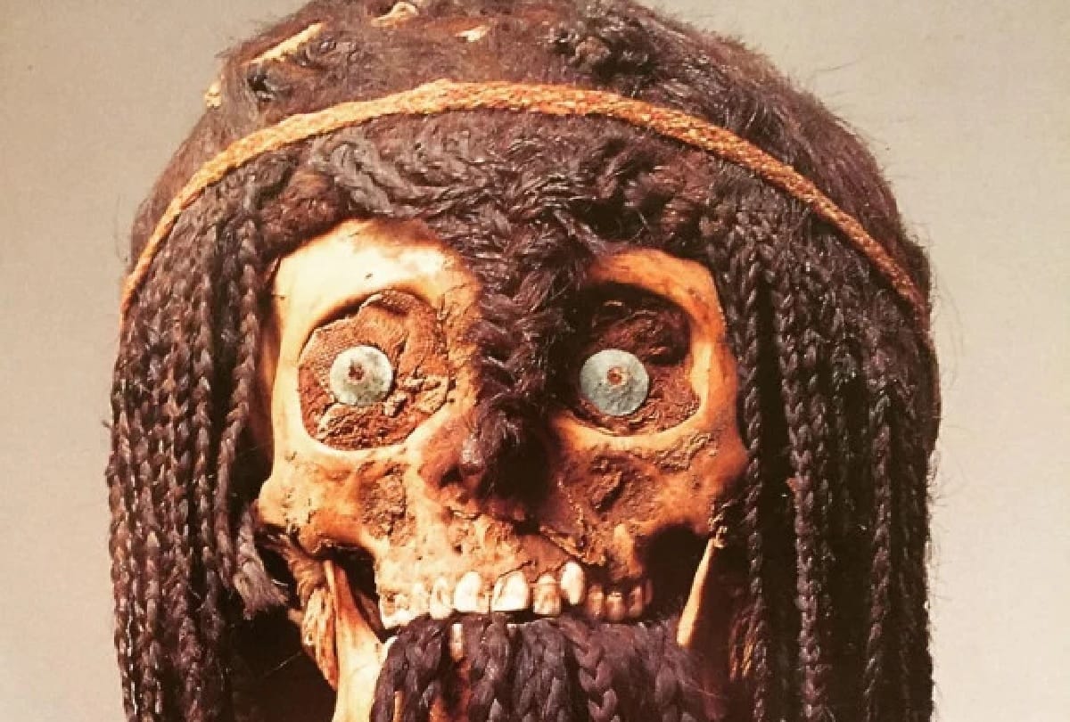 human remains for sell online instagram in uk