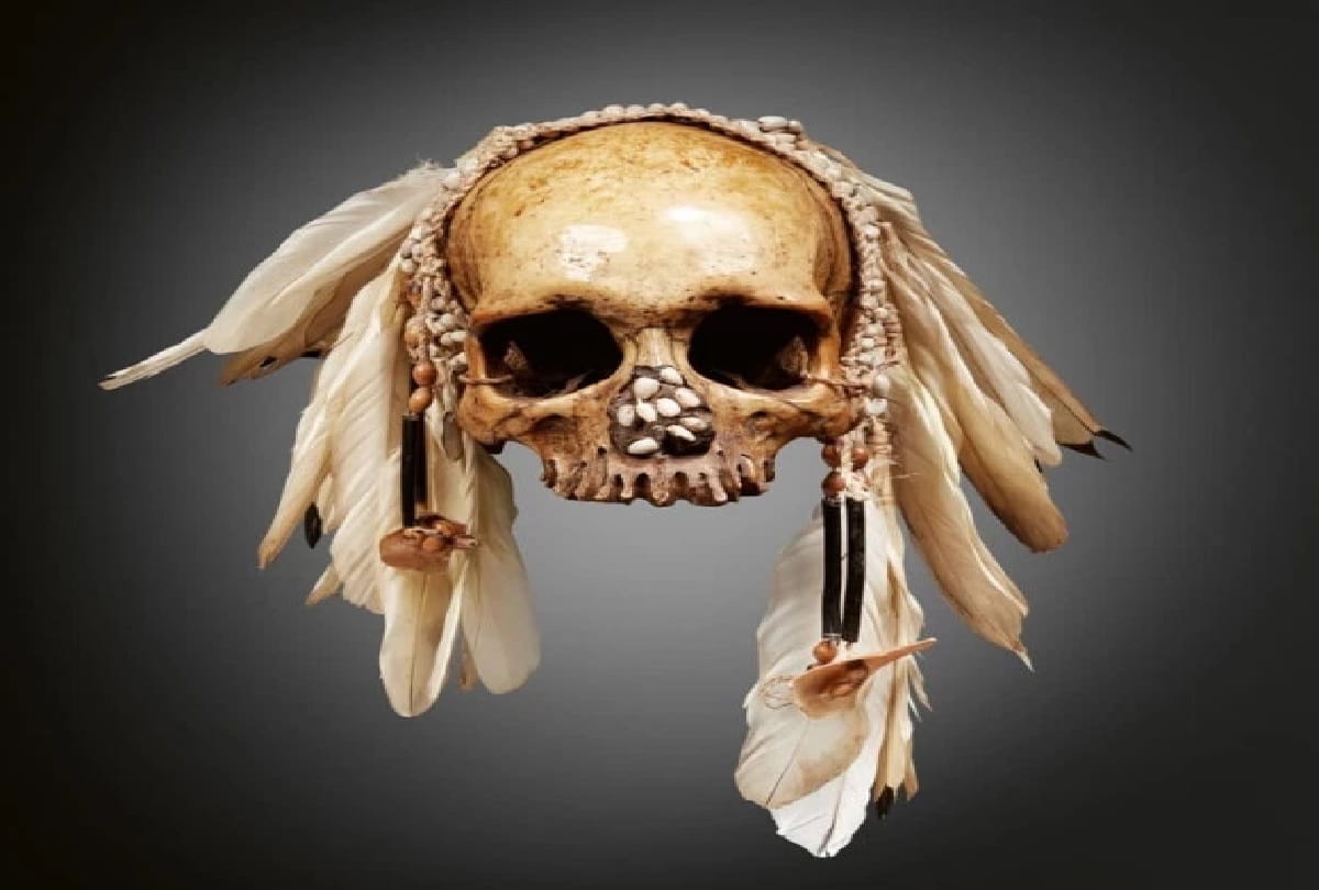 human remains for sell online instagram in uk