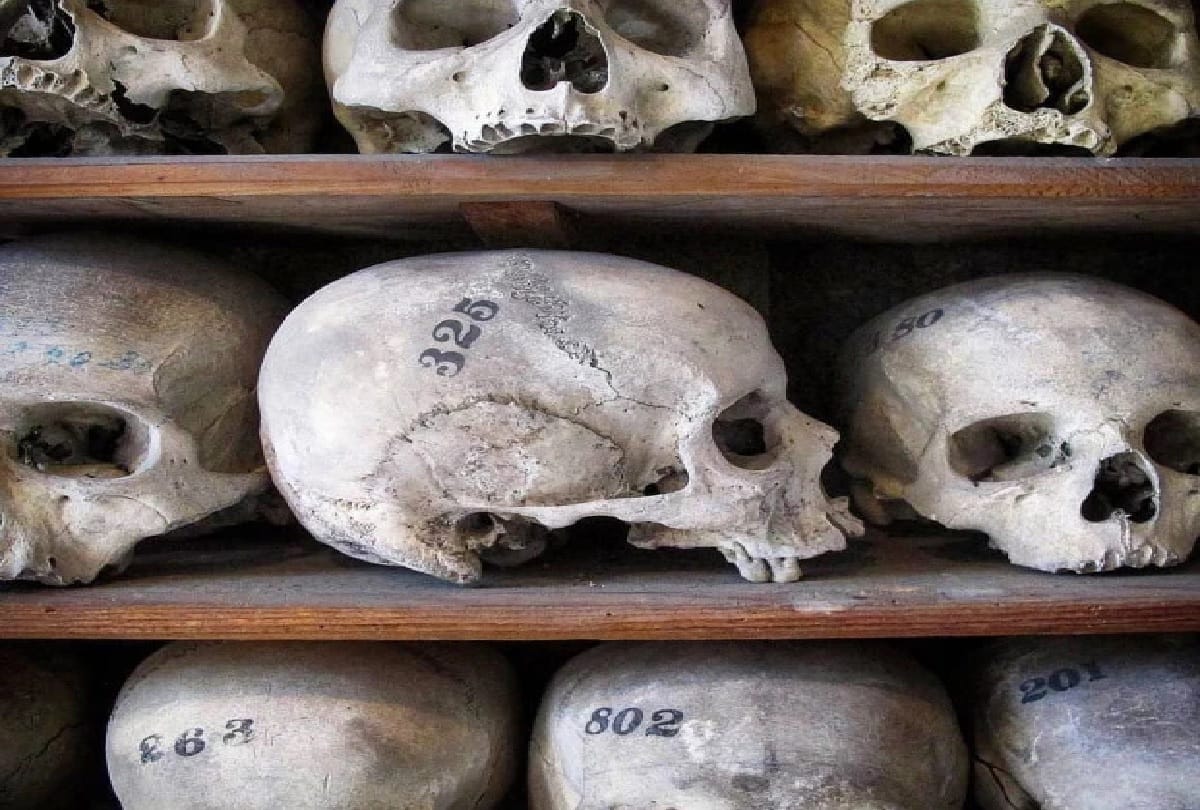 human remains for sell online instagram in uk