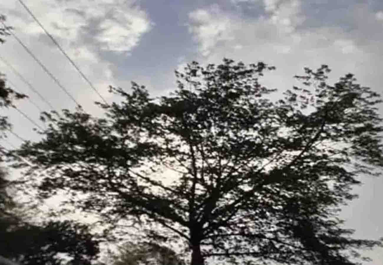 Weather Report Today, Weather department forecast heavy rain in these cities of up