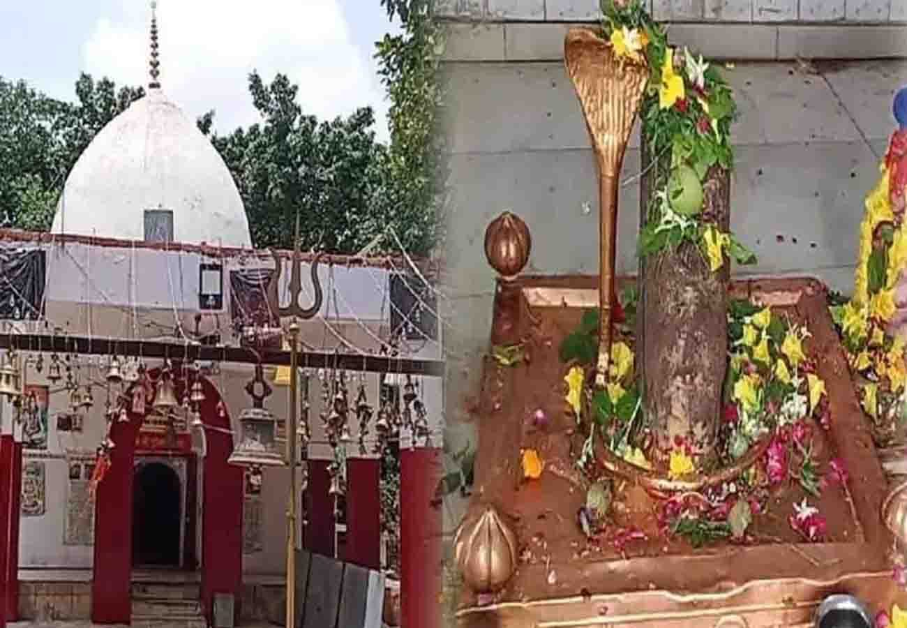 sawan 2019 special story, shiv pujan vidhi