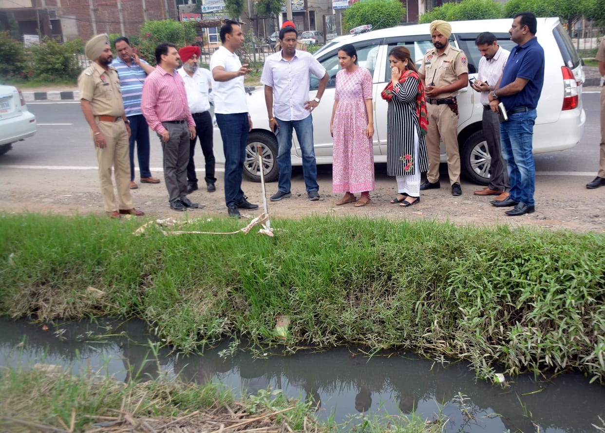 zirakpur flyover beautification