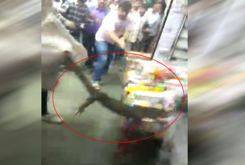 Big Monitor lizard found in college in almora 