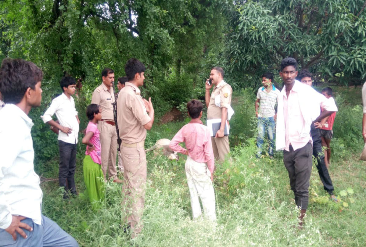 Six Cow found died in Mango Farm medical team Postmortem of cattle