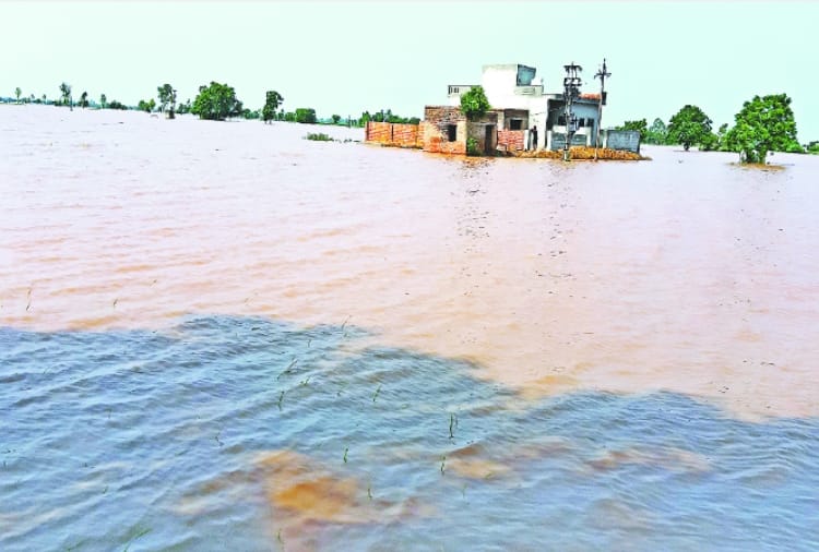 Crack In Ghaggar River At Rasauli Village Of Patiala