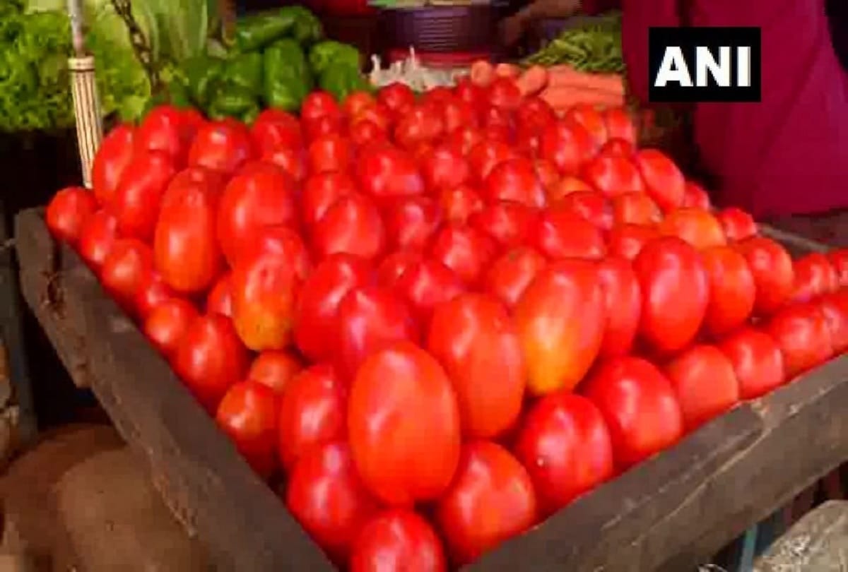 after onion, tomato prices start increasing in country due to bad crop