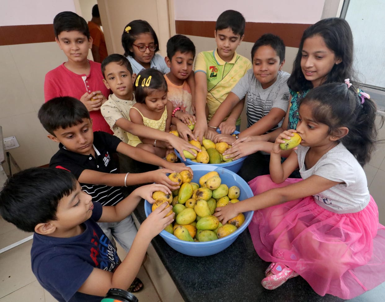 mango mela