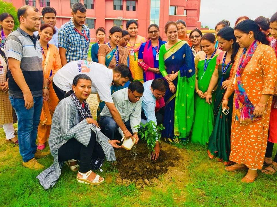 Plants planted in Shri Bhairavgarhhi temple