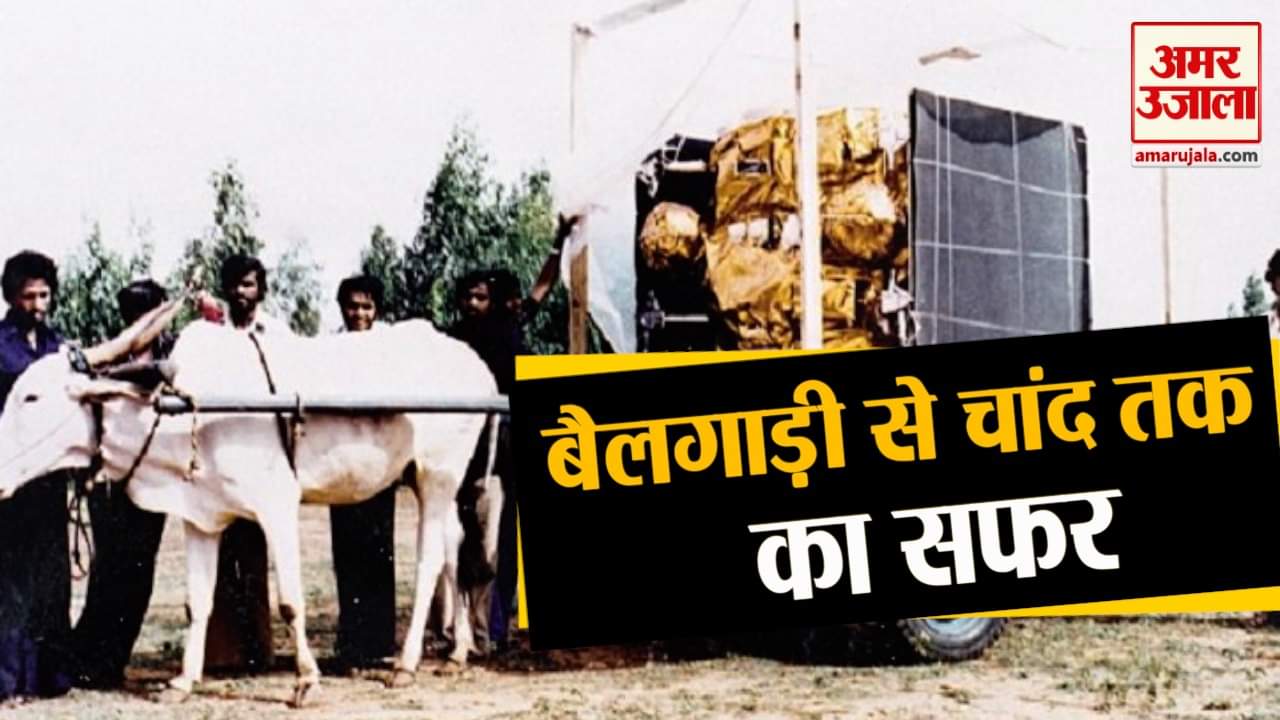 प्रतिकात्मक तस्वीर