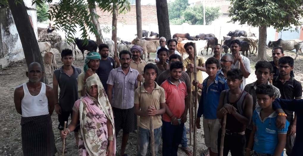 lock the cattle from pharmacy and school