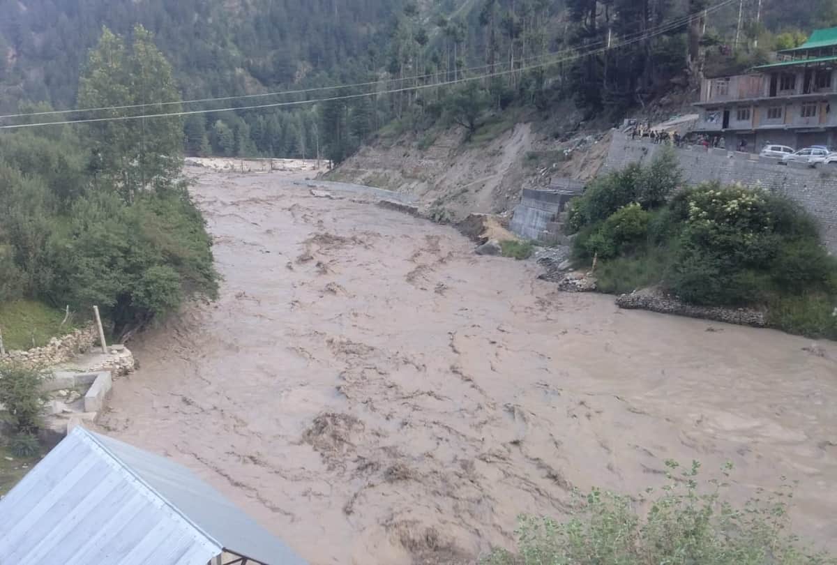 apple Gardens and bridge ruined in flood in kinnaur himachal