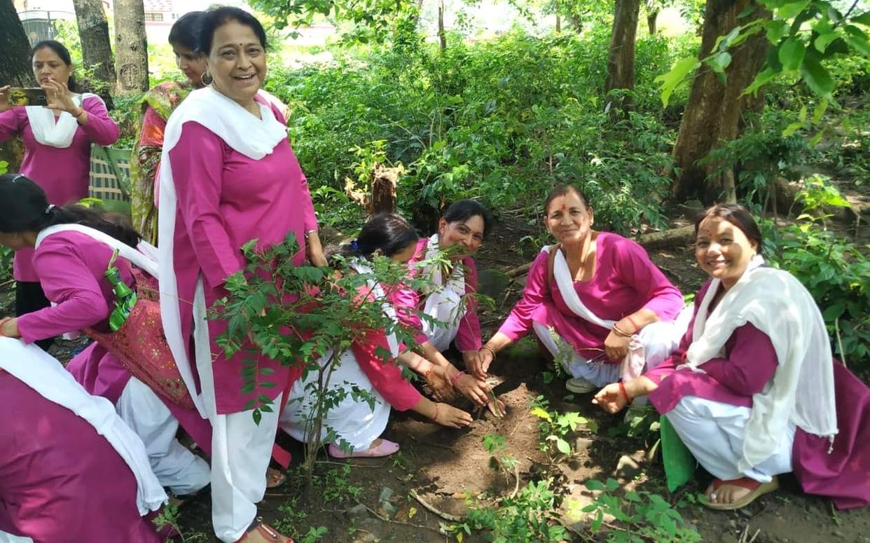 Resolve the protection of plants planted