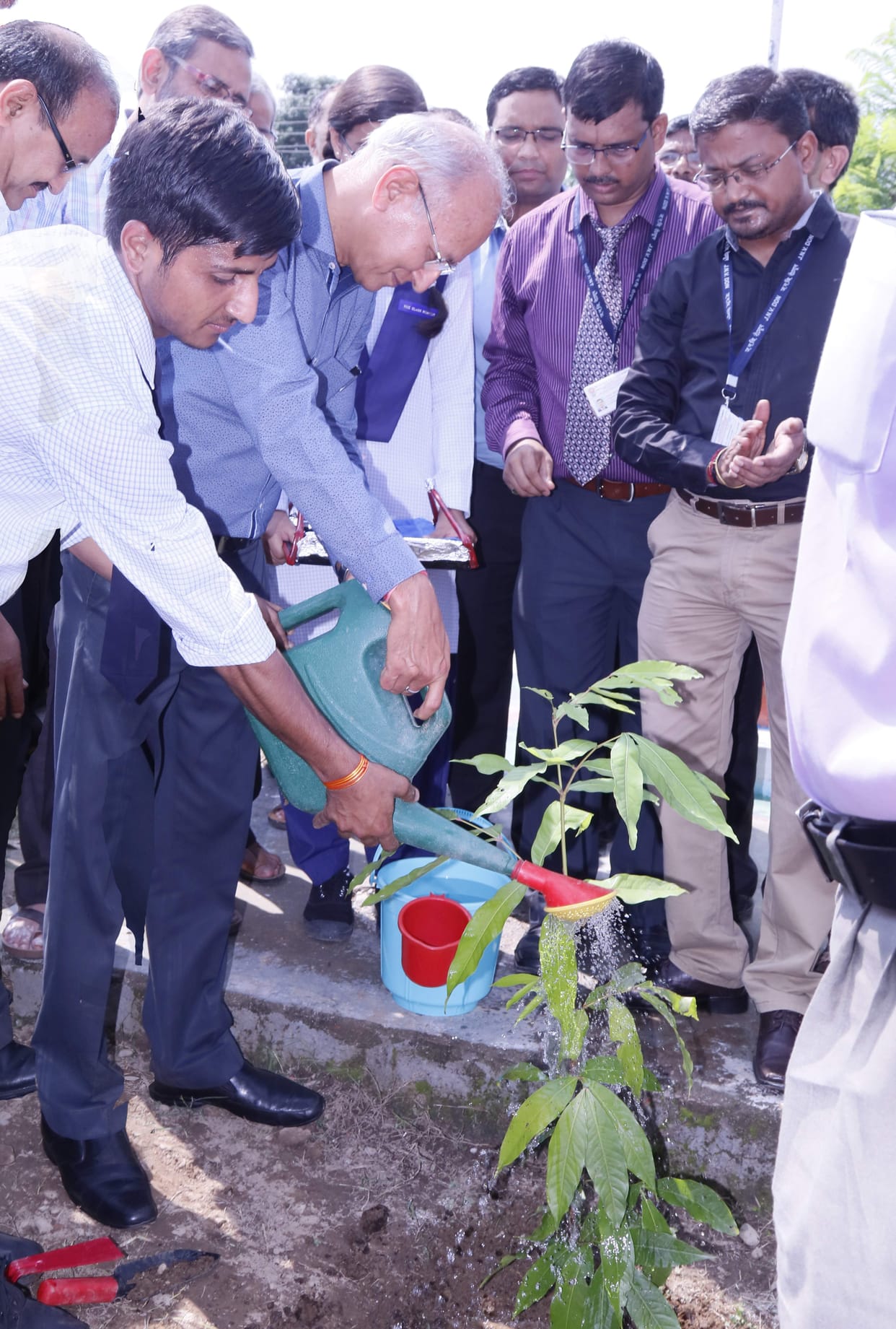 Let us plant all the plants, make the beat green